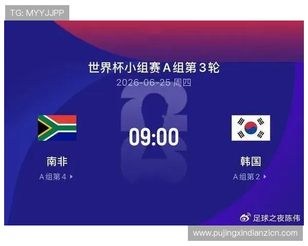 南非对韩国比赛期间球场天气变化对比赛结果的可能影响分析
